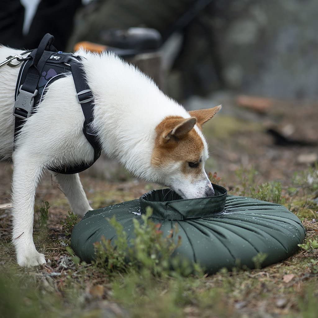 Water Bag 10 liter