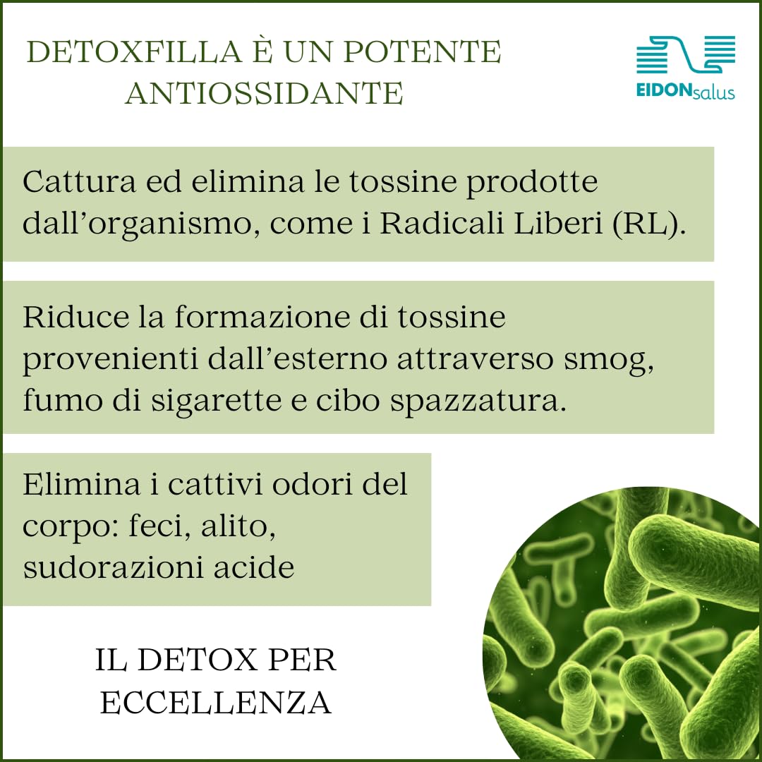 Integratore Detox con Clorofilla e Estratti Vegetali – Green Food Naturale – Supporto al Benessere dell’Organismo – Formula Antiossidante – 60 Compresse