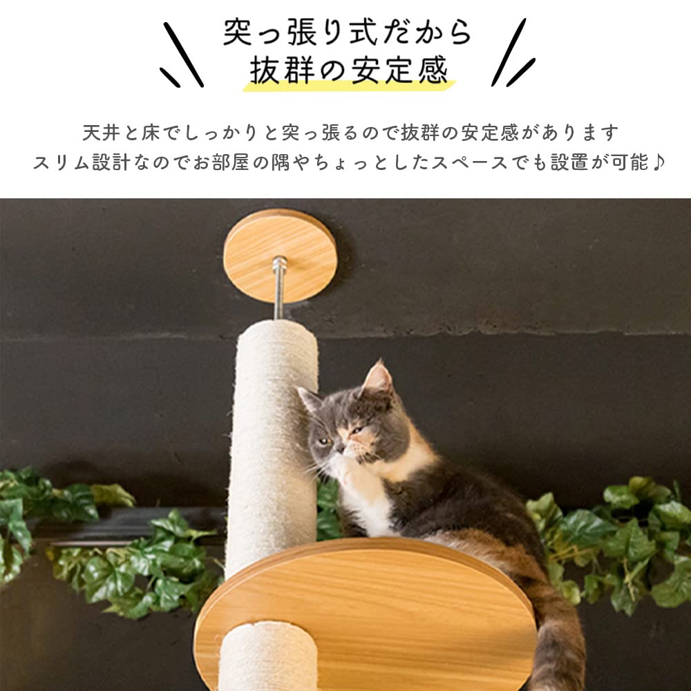 Amazon | キャットタワー 木製 突っ張り KCCT‐244 おしゃれ 省スペース