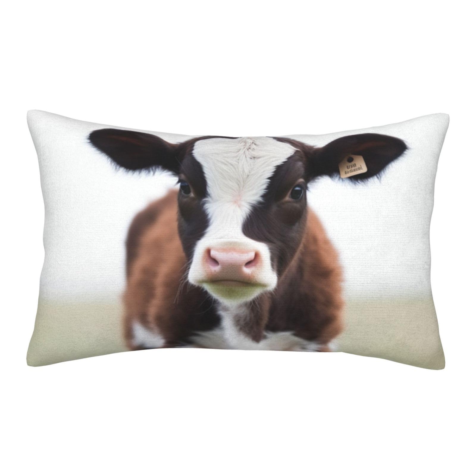 Velvet Pillowcases 20"x30" Ultra Soft Breathable Pillow Cases, Luxury Fuzzy Throw Pillow Covers with Zipper, Cow Pillow Shams All Seasons Decorative Cushion Cases for Couch