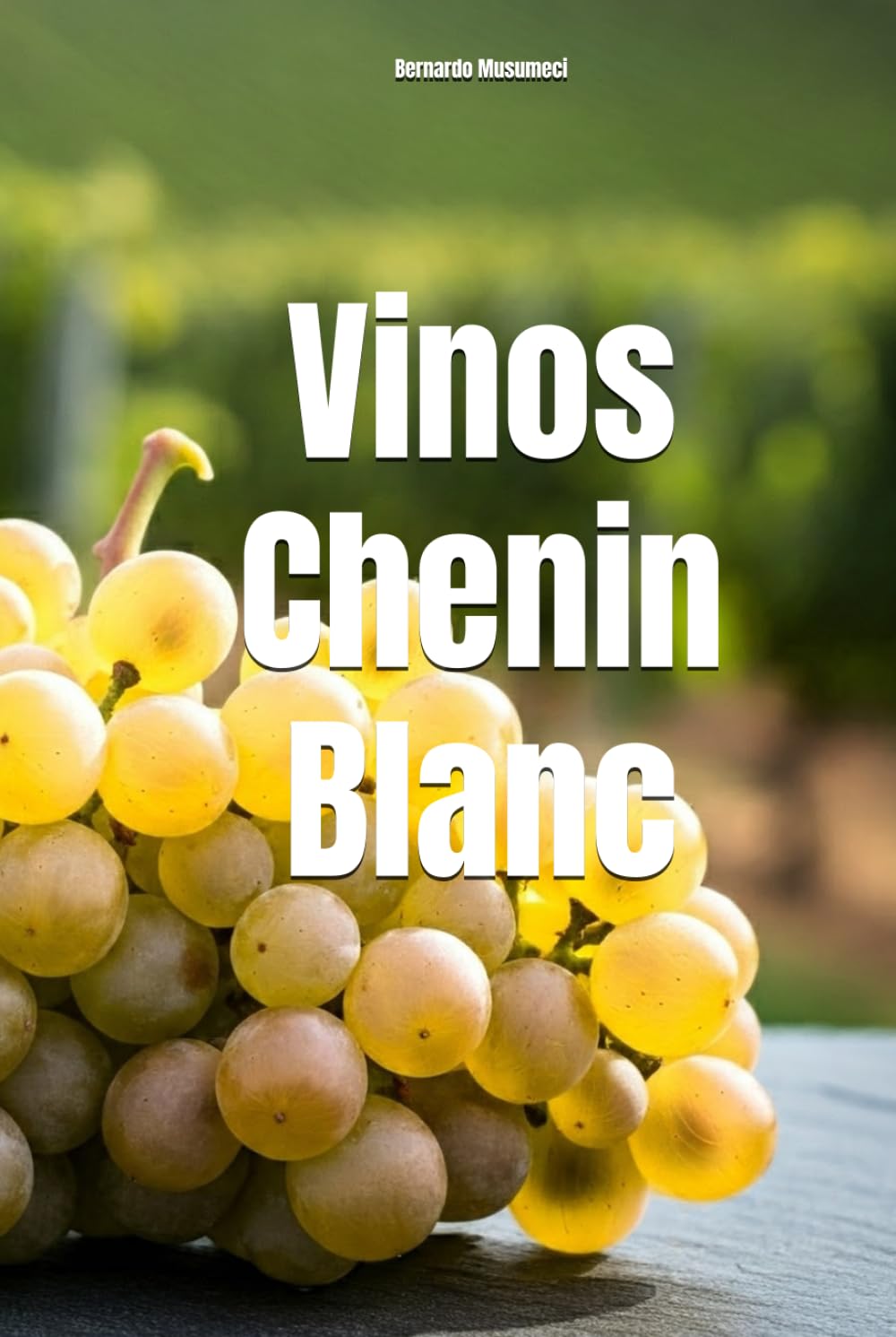 Vinos Chenin Blanc (Wines of the World: France)