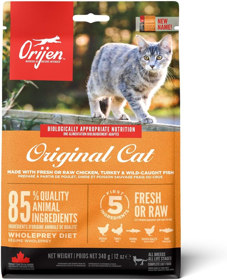 Cat and Kitten Food, 340 g