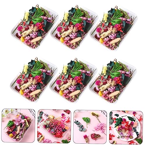 Flores Secas para Manualidades y Decoración miniatura 7