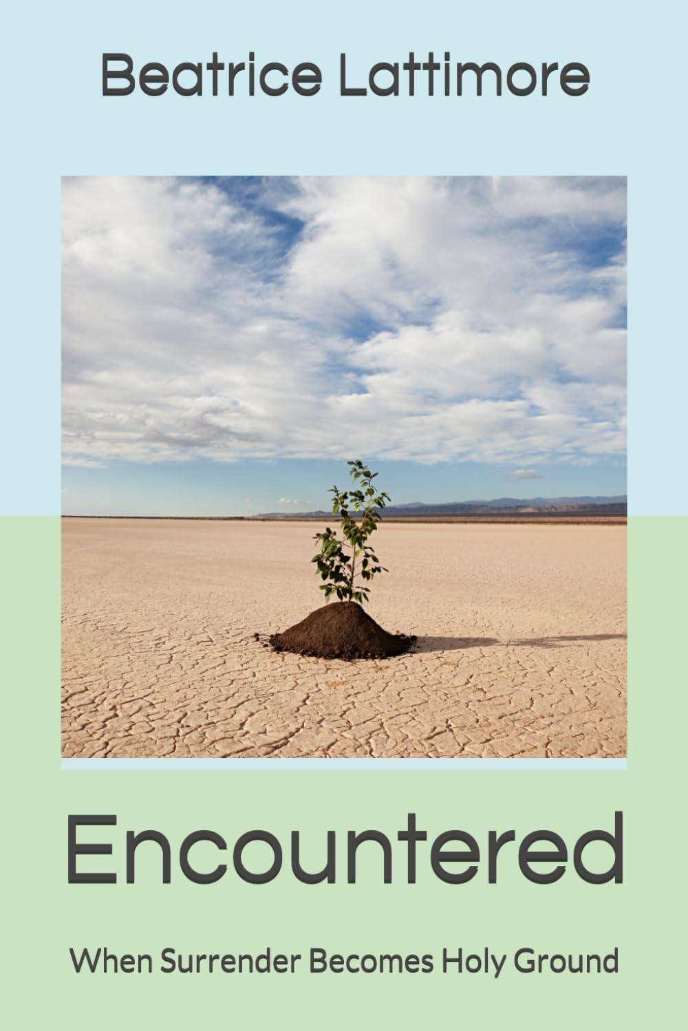 Encountered: When Surrender Becomes Holy Ground