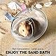 LazySusan Hamster Bad,Hamster Badewanne Box,staubdichte Badewanne,Sand Badebehälter,transparentes Bett,Kleintierspielzeug,Käfig Badewanne WC Zubehör (S 13.6 * 9.6 * 9 cm)
