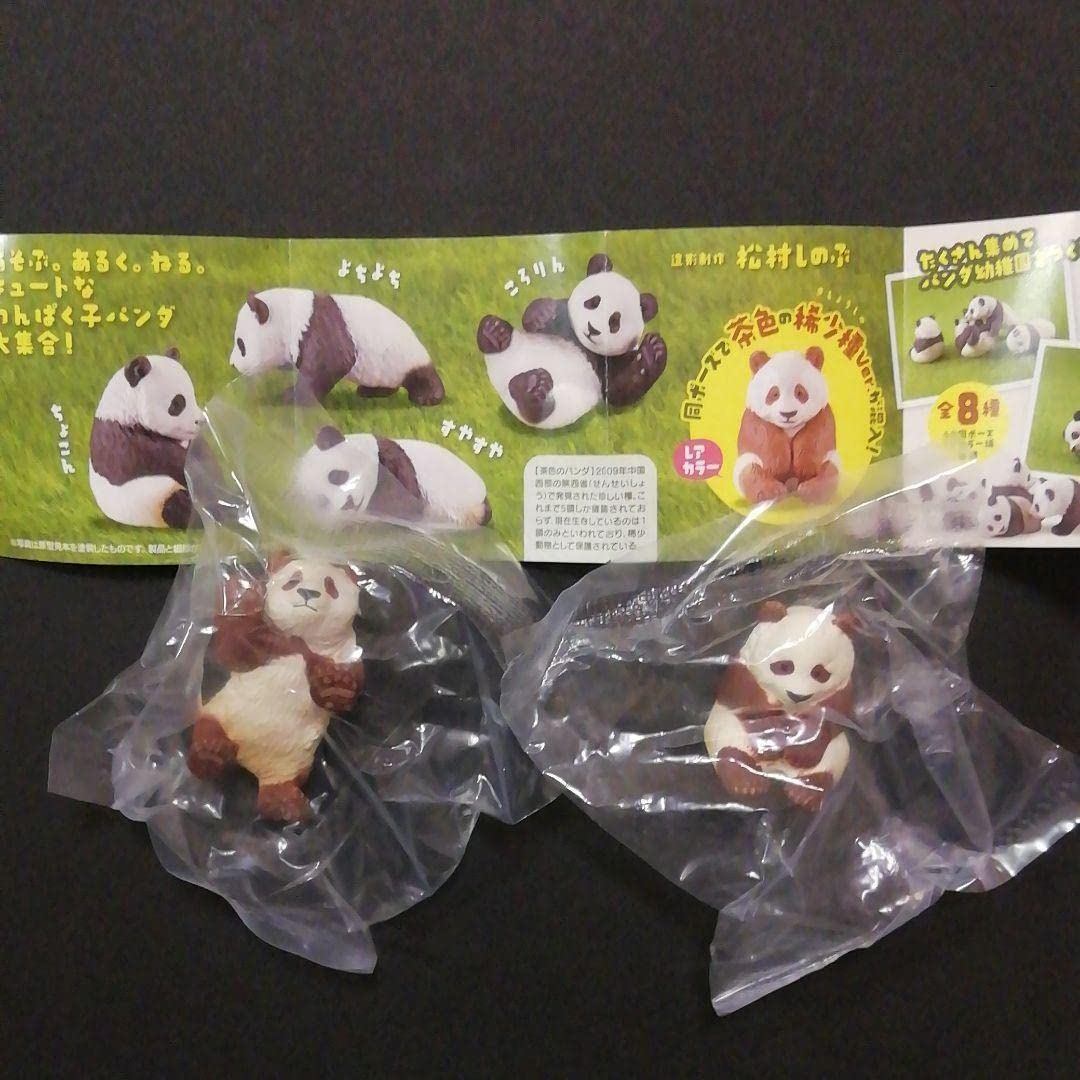 Amazon.co.jp: 世界でただ1頭茶色いパンダ 「チーザイ」 パンダ