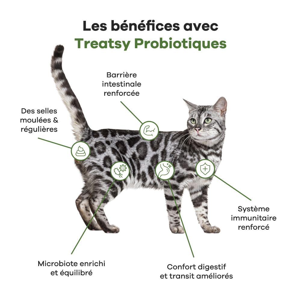 Complément Alimentaire pour Chat Digestion - Contre diarrhée & Constipation - Pré- & probiotiques, psyllium - Recommandé par Les vétérinaires