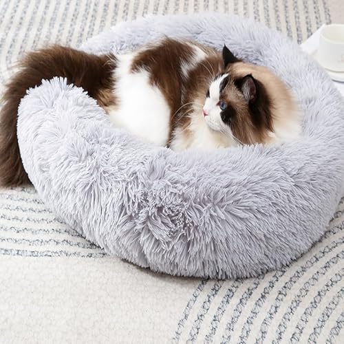 Zhoothyomiru Calming Dog Bed, Medium Fluffy Indoor Bed for Small Puppy Within 9KG