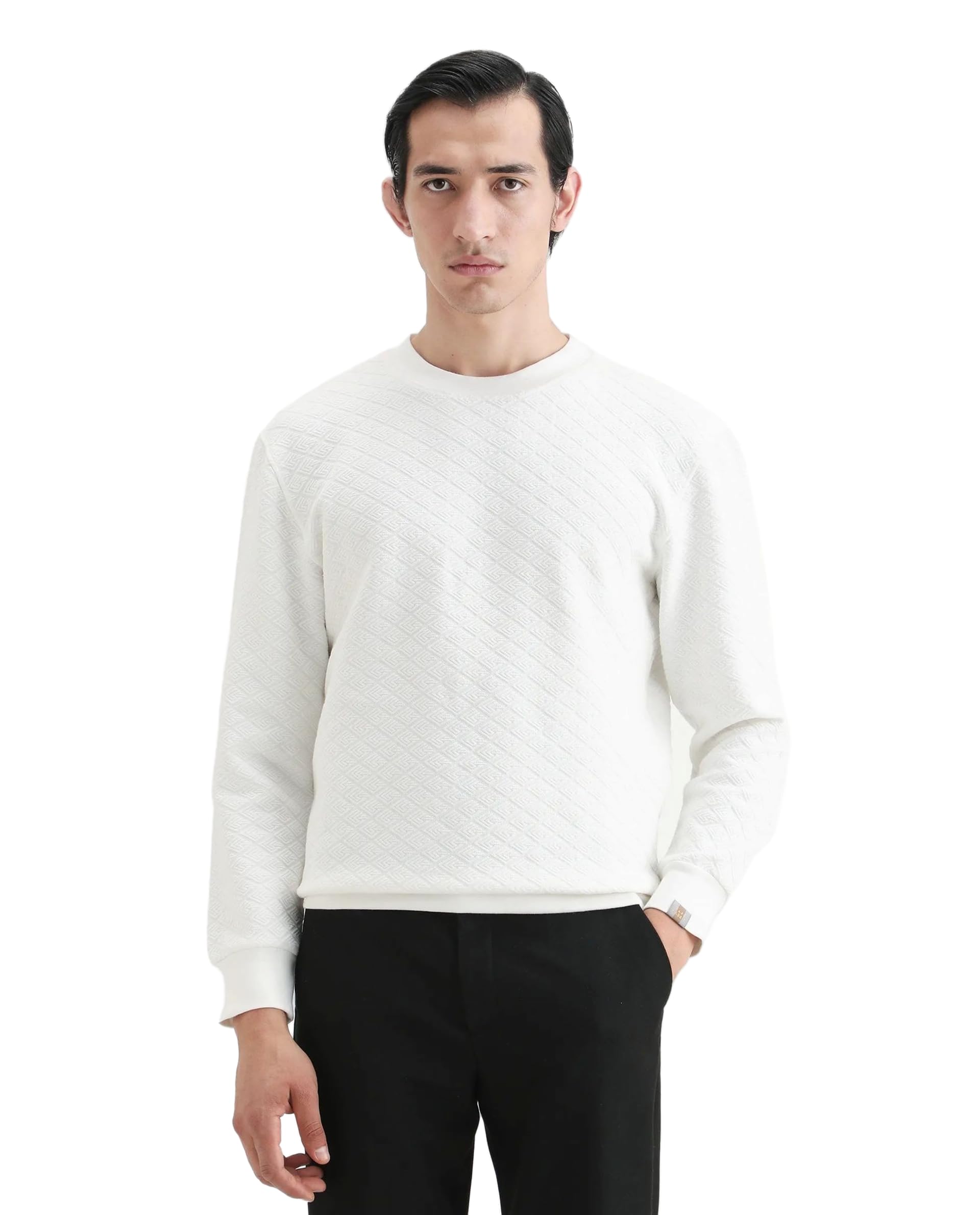 rare rabbit Men's Sheild-2 Regular Self Design Polyester Blend Crew Neck Sweatshirt-picture-34