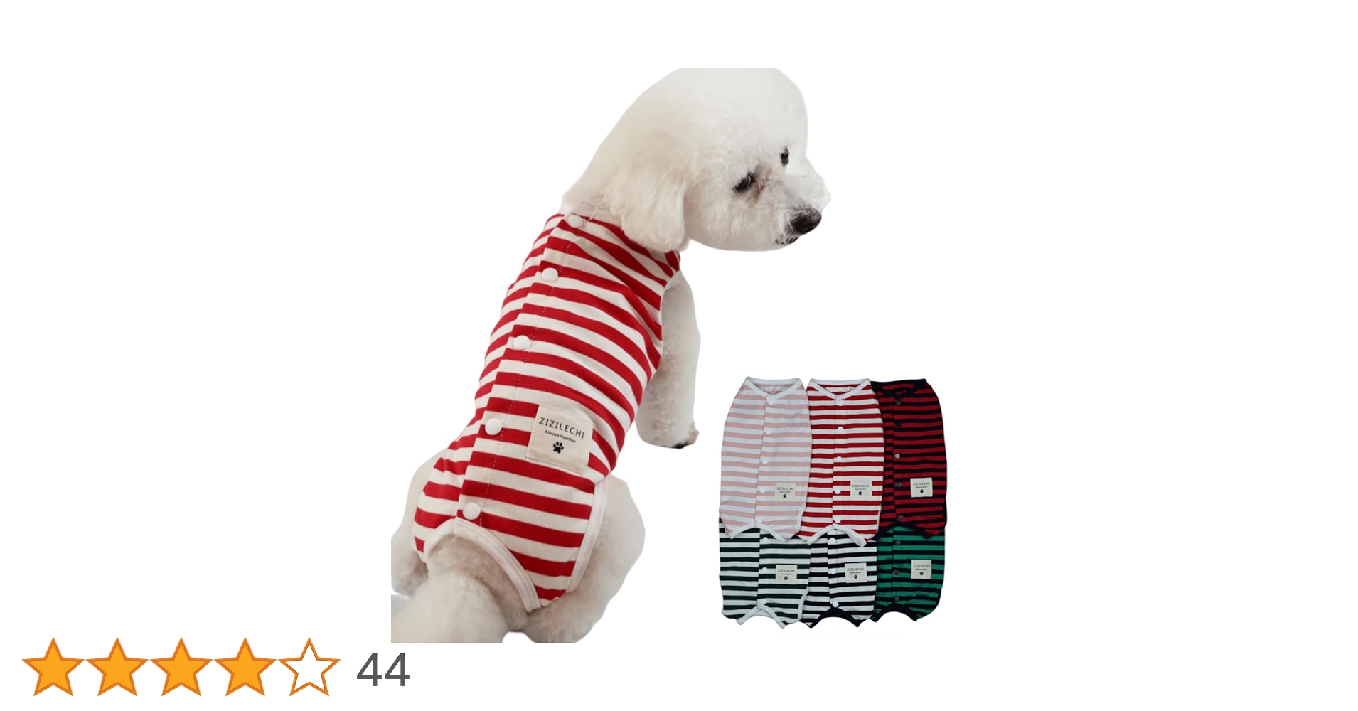 61iWZA4z8nL.jpg_BO30,255,255,