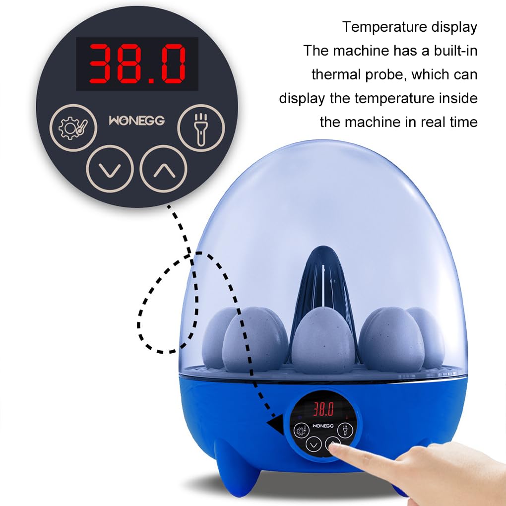 Incubatrice per uova di con controllo automatico di temperatura e