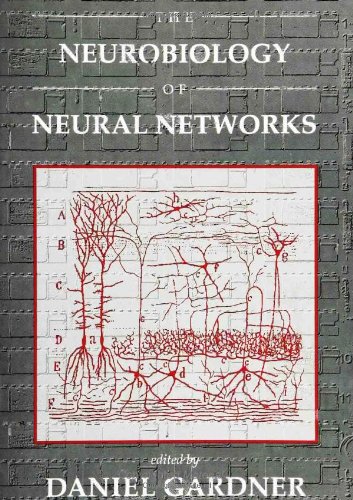 Buy The Neurobiology of Neural Networks — BookShops.in