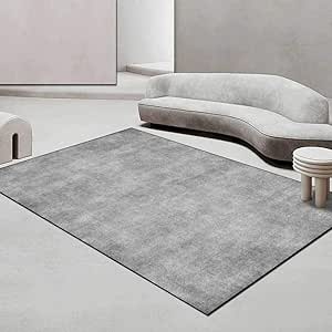 Rugs Washable Rugs for Living Room 140 x 140 cm Anti Slip Rugs Soft ...