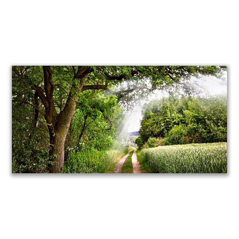Tableau nature sentier de randonnée pour salon - Grande toile imprimée moderne Tulup