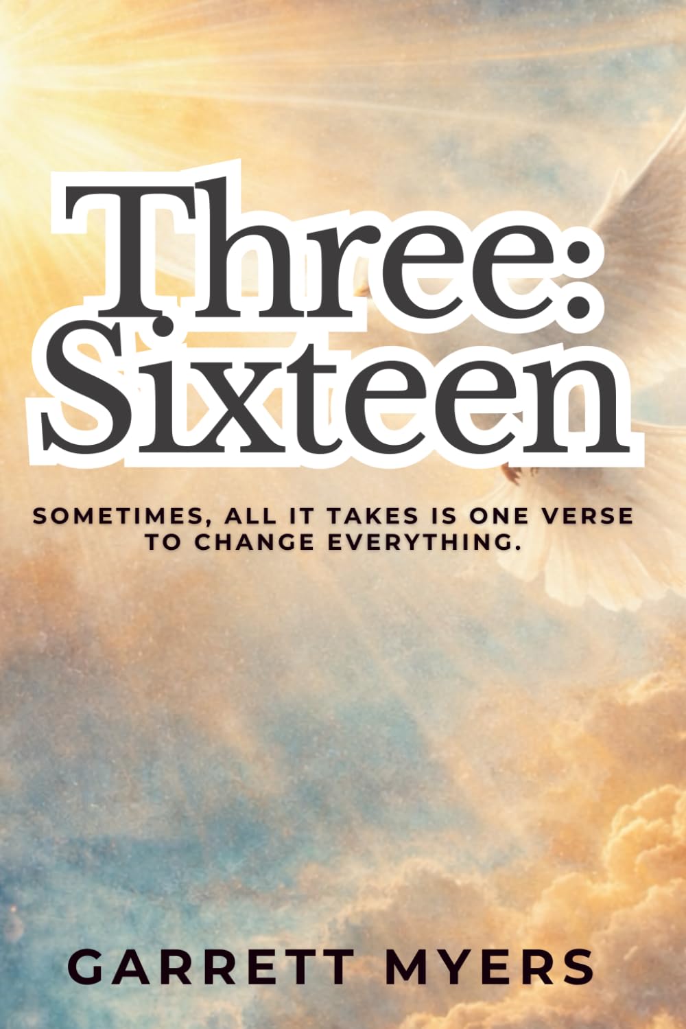 Three:Sixteen: Sometimes, all it takes is one verse to change everything.