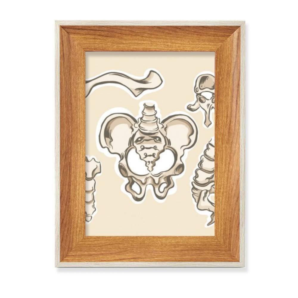 Esqueleto Humano Dibujo de Fotos para Decorar Consultorios Médicos y Estudios
