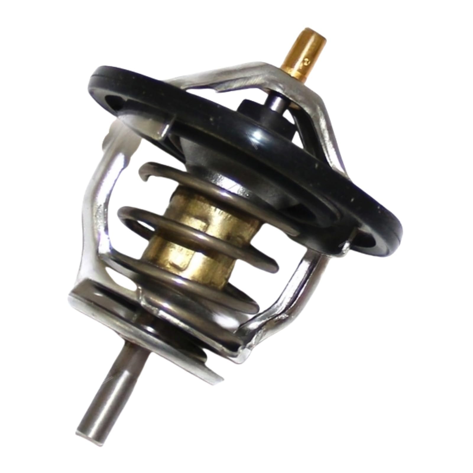 Amazon.com: 1 Set Engine Coolant Thermostat 8973007891