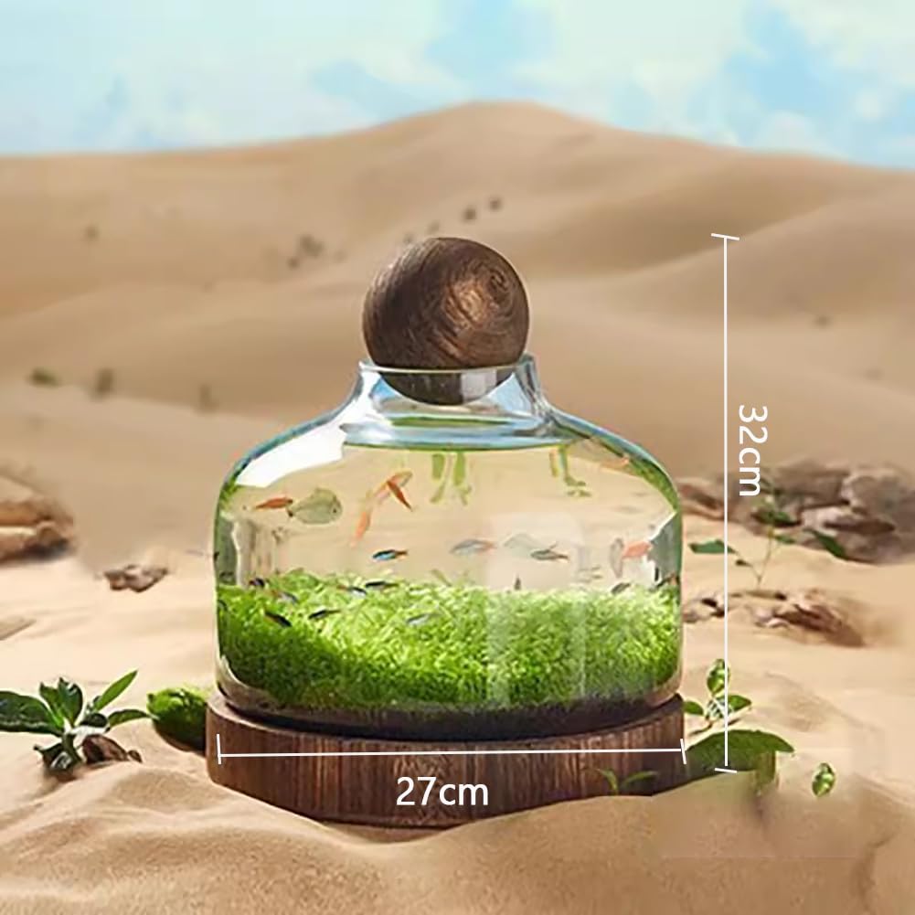 Acquario per Pesci Betta, Moderno Ed Elegante Acquario per Pesci Betta, Acquario in Vetro con Base in Legno, Piccolo Acquario per Pesci Rossi, Boccia in Vetro Ultra Trasparente,L