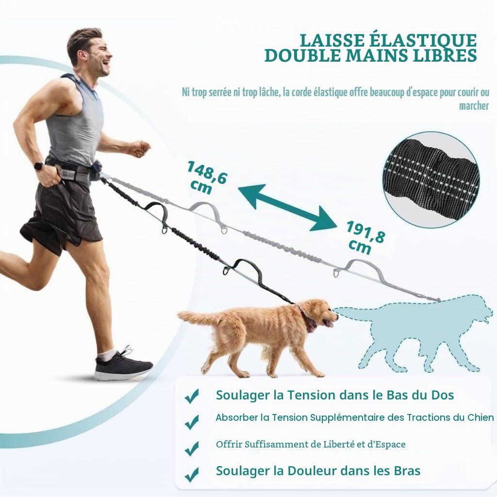 Laisse Mains Libres pour Chien avec Pochette, Double pour Deux Chiens, Laisse rétractable avec Double poignées rembourrées, montée à la Taille pour la Course, la Marche, Le Jogging (Noir/Gris)