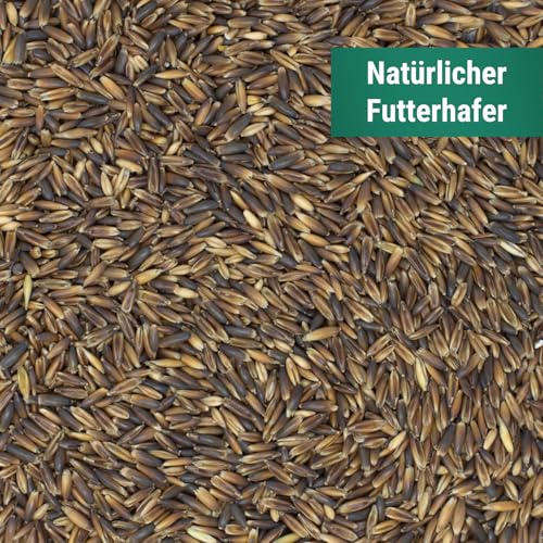 Agrarzone Schwarzhafer Pferd 20 kg Hafer Pferde Pony Reiter Pferdehafer