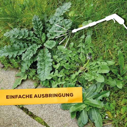 Solabiol Grundstoff Acetum, unterstützt die Beseitigung von Unkraut auf Wegen, Plätzen und Terrassen, 3 Liter Kanister – Ansicht 4