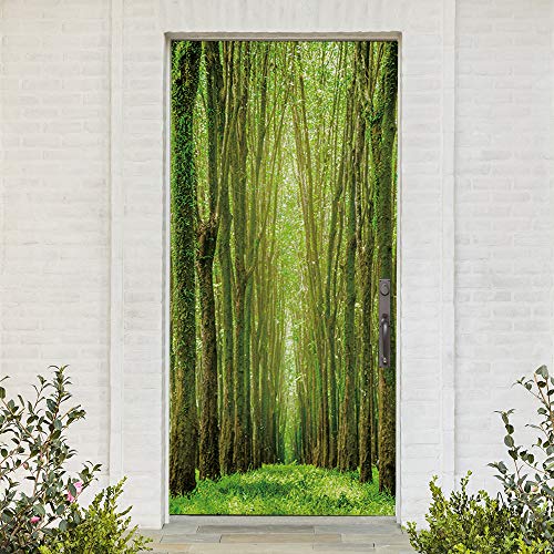 Vinilo 3D para puerta mural autoadhesivo extraíble y póster de pared grande 2
