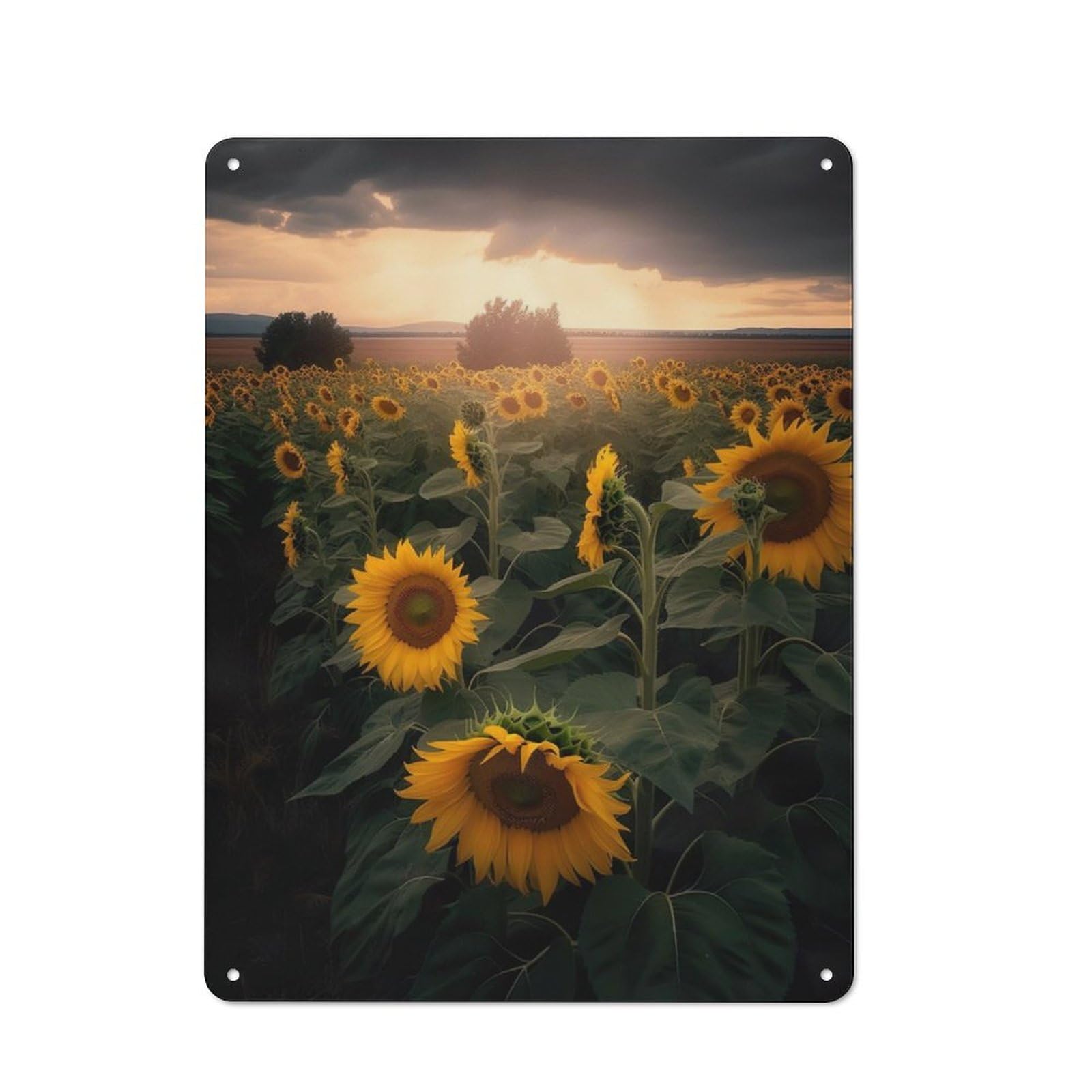 Junmoney Sunflower Field Grey Cloud For Lounge Or Reading Corner, Rustic Tin Sign 40X30cm, For Home Interiors, Feature Walls And Decorative Displays