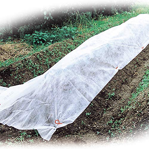 愛栽シートA 1.5×5m 2枚 育苗 育苗シート 園芸用 不織布シート ホワイト 霜よけ 家庭菜園 ガーデニング 霜対策 防寒カバー 防虫 防鳥 保温 遮光 農業 植物保護 不織布 国華園