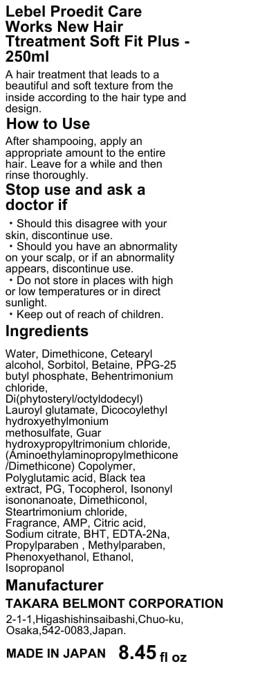 Lebel Proedit Care Works New Hair Ttreatment Soft Fit Plus - 250ml - Image 6