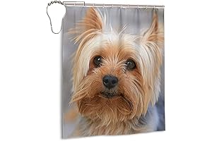 Must-Have for Yorkie Lovers: Cutest Yorkies Shower Curtain