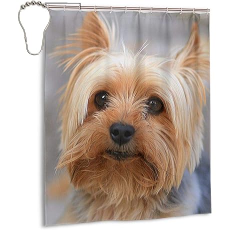 Must-Have for Yorkie Lovers: Cutest Yorkies Shower Curtain