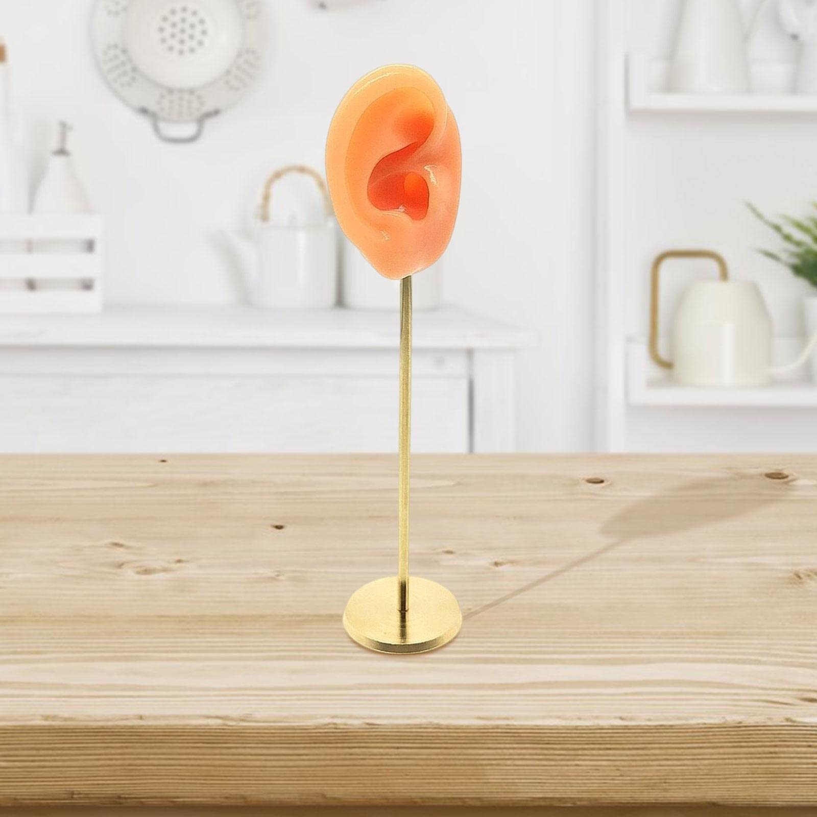 Silicone Ear Mold Earring Holder - Realistic Ear Display Stand, Skin Color, Right Ear, Stable Round Base