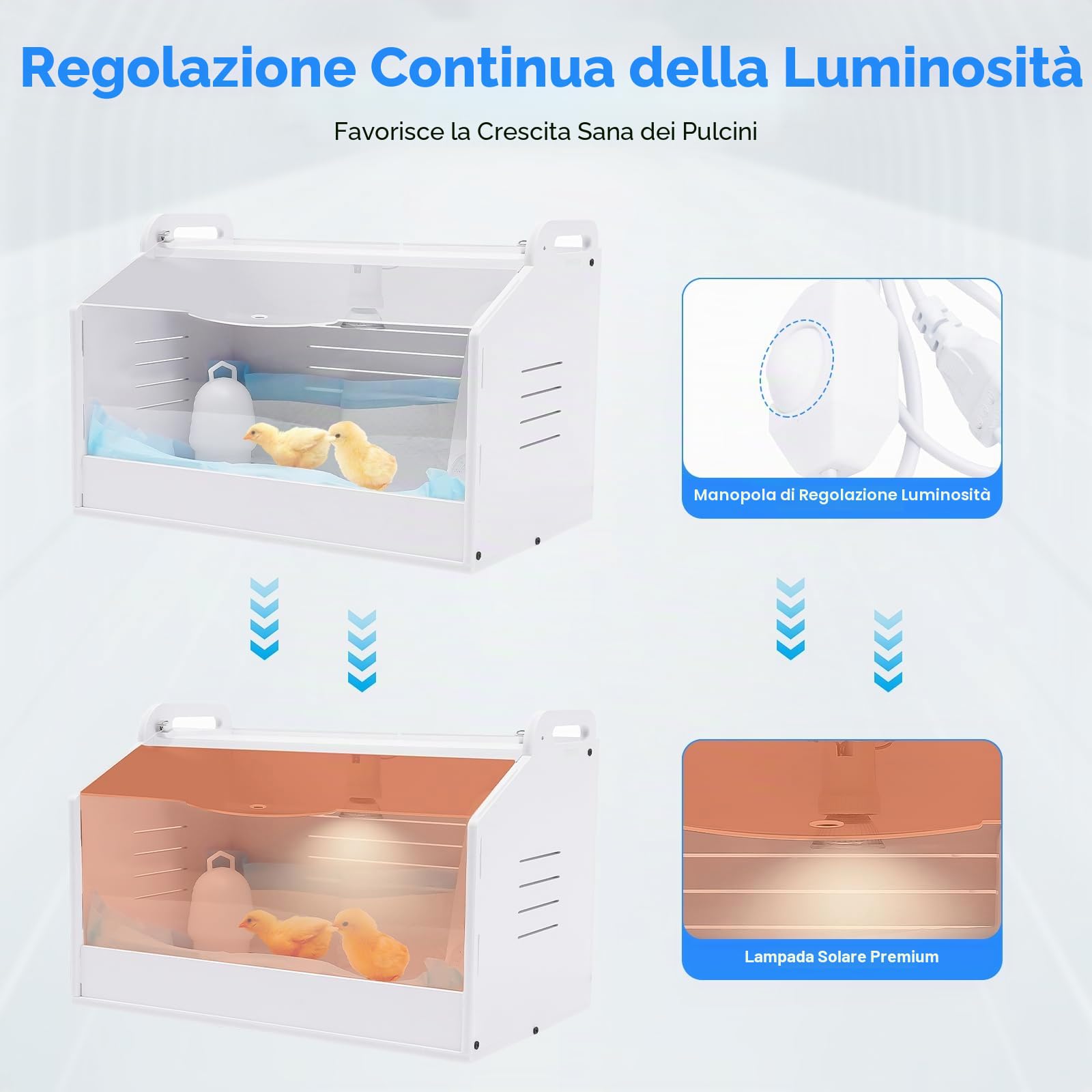 Scatola termica per pulcini, per pollame, pulcini, per pulcini, completamente automatica, con termometro e lampada di calore, per pollame, rettili e piccoli animali