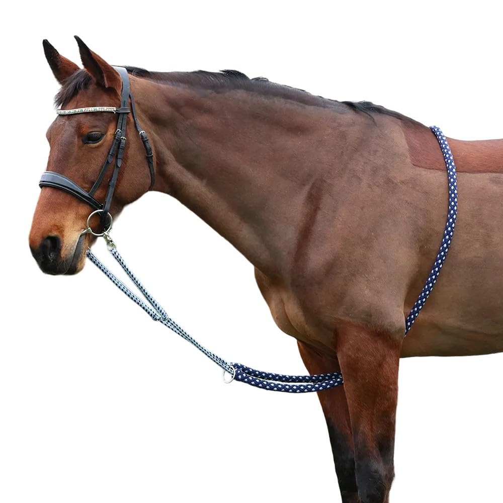 Hy Equestrian Lunging Aid - Navy/Grey
