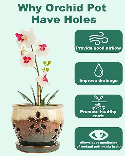 Miniatura 5 de 4 Inch Ceramic Orchid Pots with Holes and Saucers - 2 Pcs Small Ceramic Orchid Planter Pots for Repotting, Plant Garden Pots for Indoor and Outdoor