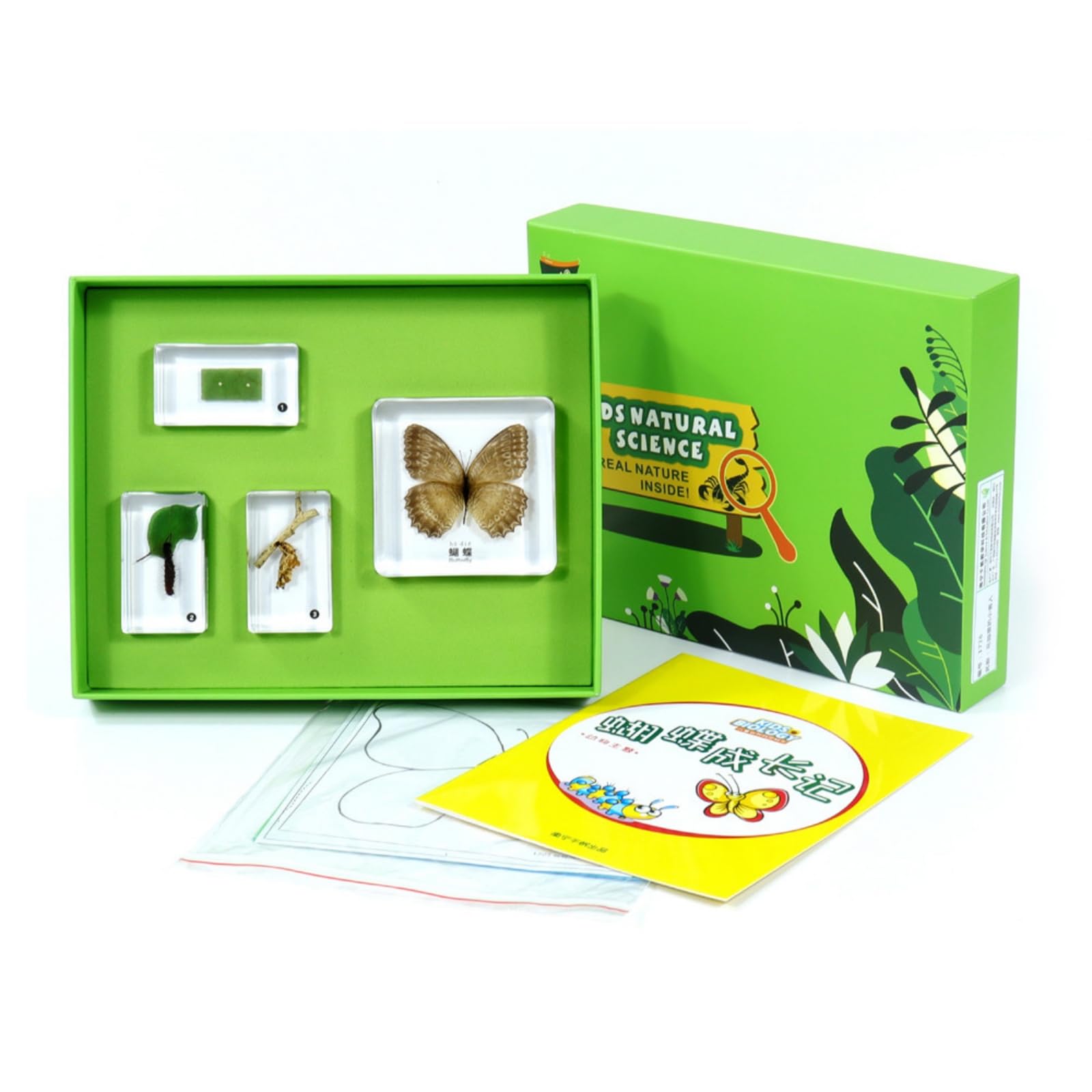 Especimen Educativo Infantil Kit de Exploración Biológica con Bloques de Resina y Bandeja Incluye Guías de Aprendizaje y Tarjetas Caja con Bandeja, Style to 2