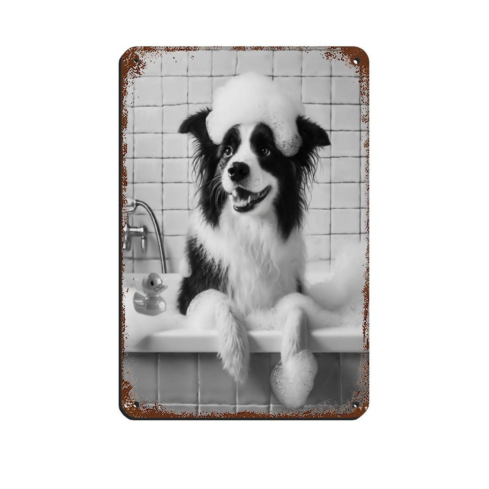 Lxwnze 20L X 30W Cm Border Collie, Funny Bathroom Decor Tin Sign Vintage Metal Pub Club Cafe Bar Home Wall Art Decoration Poster Retro 8X12inch(20X30cm)