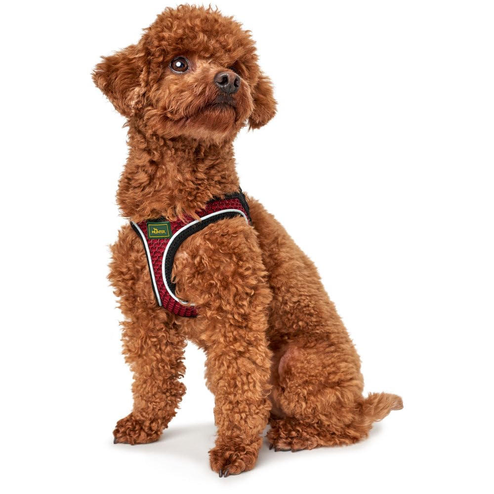 HUNTER Hundegeschirr HILO COMFORT, Farbe: rot, Easy Step-In Geschirr für kleine bis mittlere Hunde, mit Netzmaterial, reflektierende Elemente, angenehm leicht, modernes Design Größe: XS-S