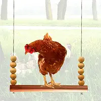 Brinquedo de balanço de galinha para galinheiros – Poleiro e escada ajustáveis de madeira natural de 40 cm | Acessório de brinquedos de frango para galinhas, galos, papagaios, araras | Baloiços de