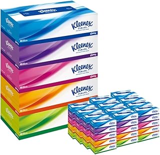 【定期便】《6ヶ月ごとに2回お届け》ティッシュ クリネックス ティシュー 5箱×12パック 最短翌日発送