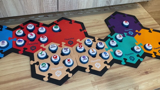 Amazon.com: FluentPet: Shop All