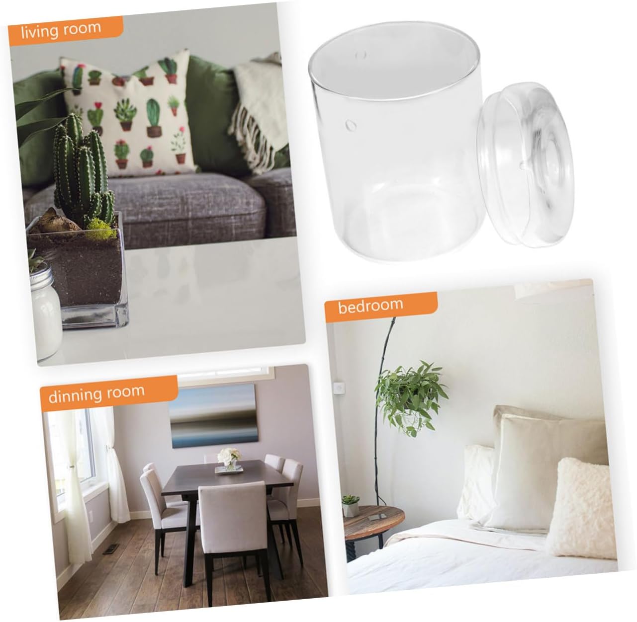 Micro Landscape Ecological Bottle for Office Decor Stylish Glass Terrarium Container for Moss Planting Creative Indoor Miniature Garden Holder