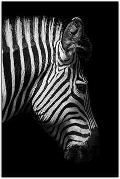 Zebra Portrait Wall Art Picture Black and White Animal Poster Print Canvas Painting Modern Home Bedroom Bathroom Decor 16x24inch40x60cm,No Framed