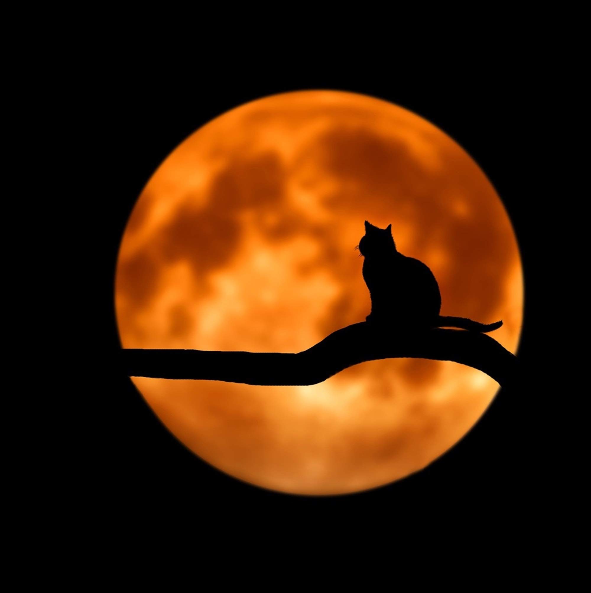 Sonidos De Lluvia y Tormentas, Musica Relajante Para Dormir, Música Relajante para Bebes