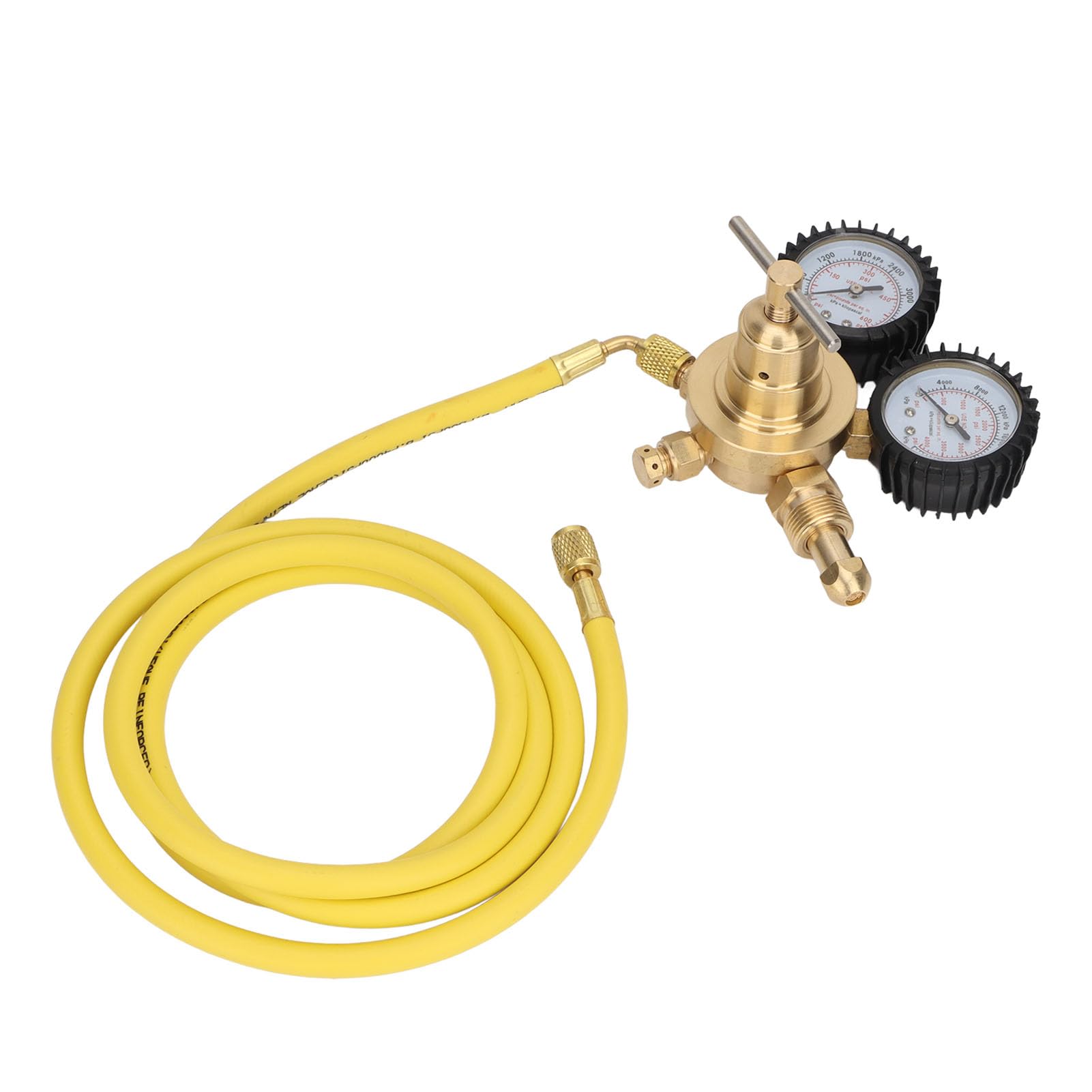 Regolatore di Azoto, Manometri di Connessione Ingresso Uscita in Ottone, 0-600 PSI con Tubo del Gas 2 M, Alta Pressione 4000 Psi/28000 KPa, Bassa Pressione 600 Psi/4200 KPa