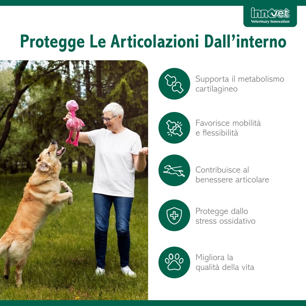 Innovet Condrostress Mobility per Cani Adulti e Anziani Che Soffrono di Rigidità Articolare – 30 Soft Chews – Supporta Il Metabolismo Cartilagineo e la Mobilità (90 soft chews per cani)