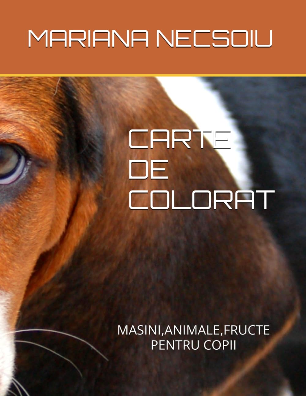 CARTE DE COLORAT: MASINI,ANIMALE,FRUCTE PENTRU COPII