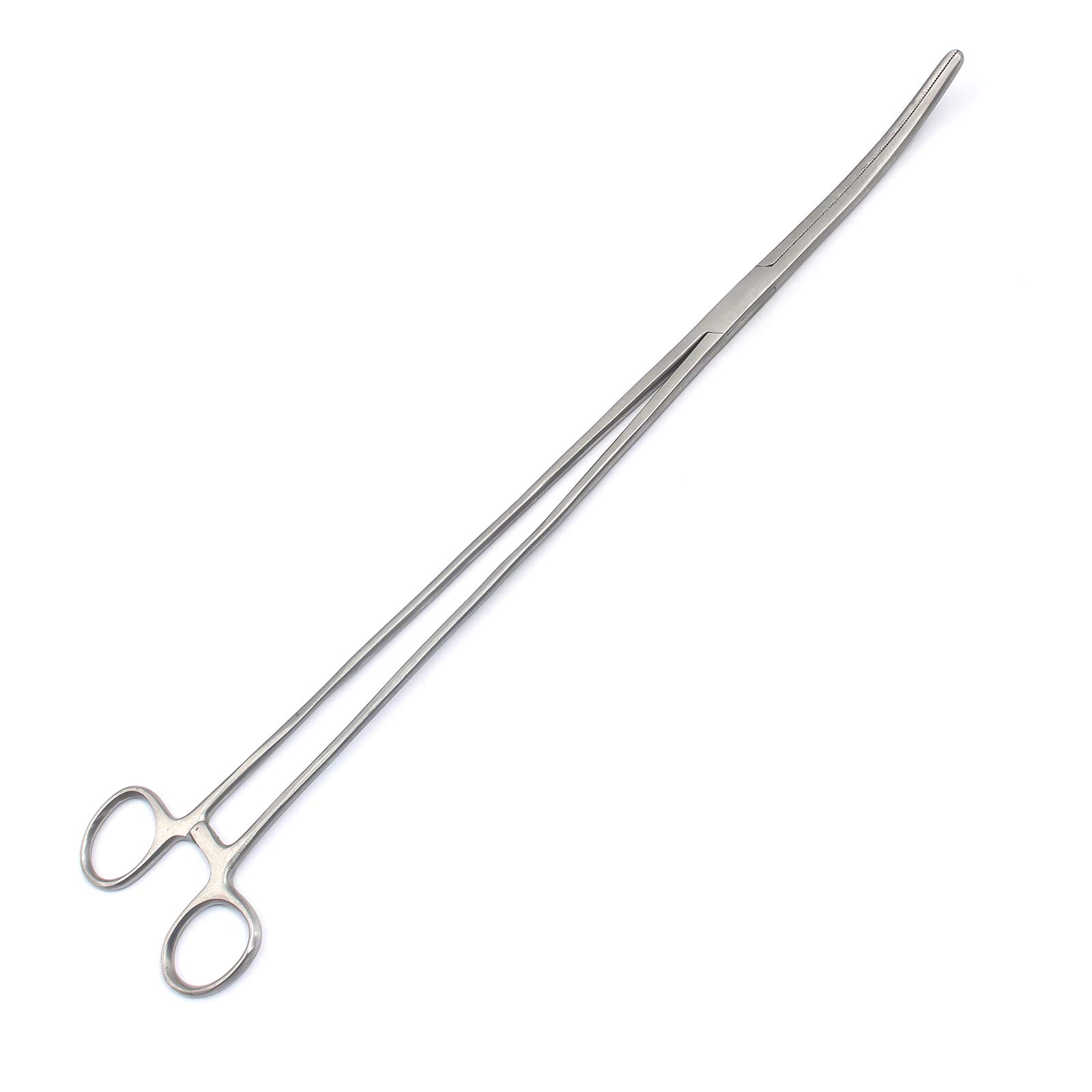 OdontoMed2011 Curved Forceps - Stainless Steel -5 OdontoMed2011 Curved Forceps - Stainless Steel -5