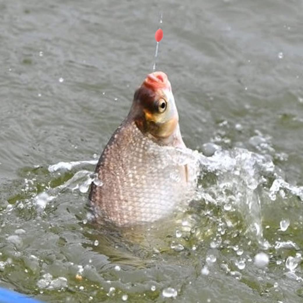 Jorzer Tope de Goma de Flotador Táquero de Pesca Silicona Pesca de Goma Bobber Tope de Frijoles Flotador Accesorios de la línea de Pescado para 2.5# -5.0# Línea 300pcs