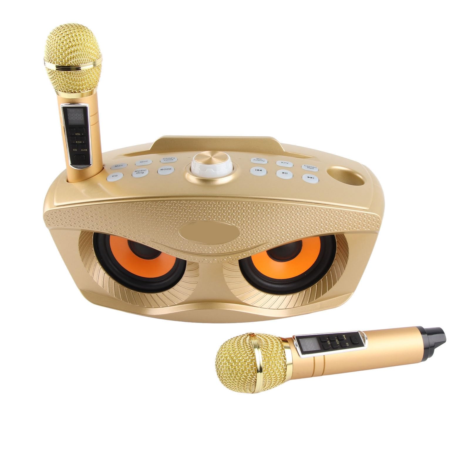 Semme Altoparlante per Karaoke Familiare con Doppio Microfono Portatile, Stereo Portatile da Esterno con Funzione di Annullamento Vocale (GOLD)